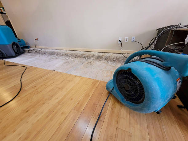 Professional Water Damage Repair technician working in Camp Murray, WA