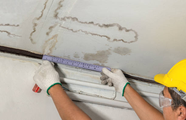Affordable Water Damage Repair solutions in Camp Murray, WA